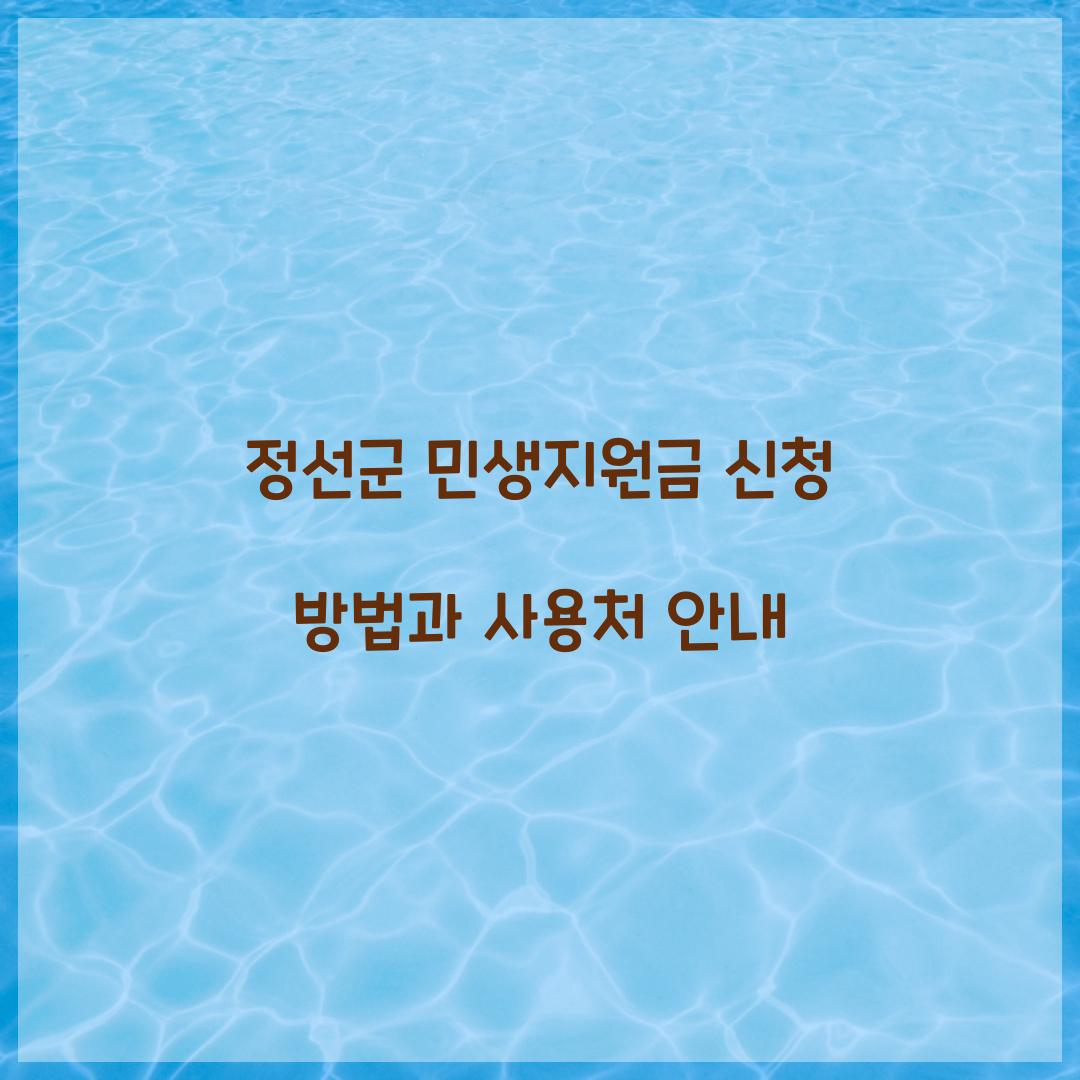 정선군 민생지원금 신청
