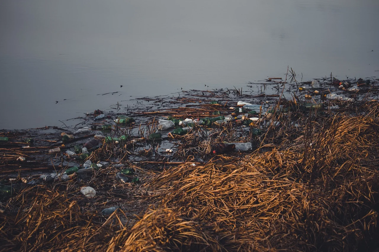 바다의 플라스틱 사진