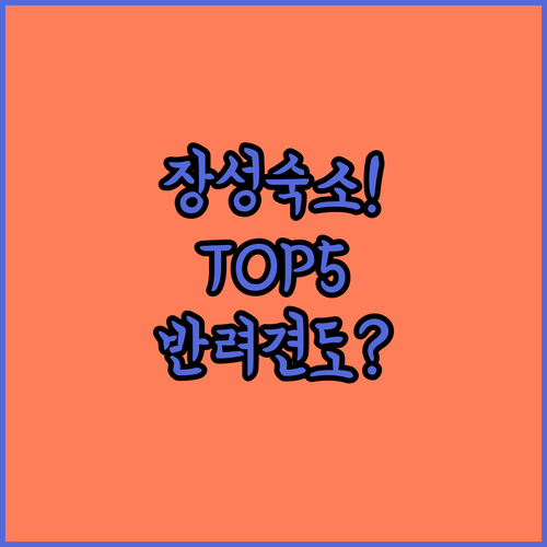 전라남도 장성 가볼만한 숙소 5가지 ..