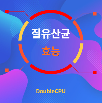 질유산균 효능 탐구