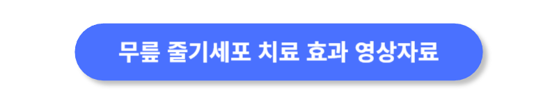 버튼