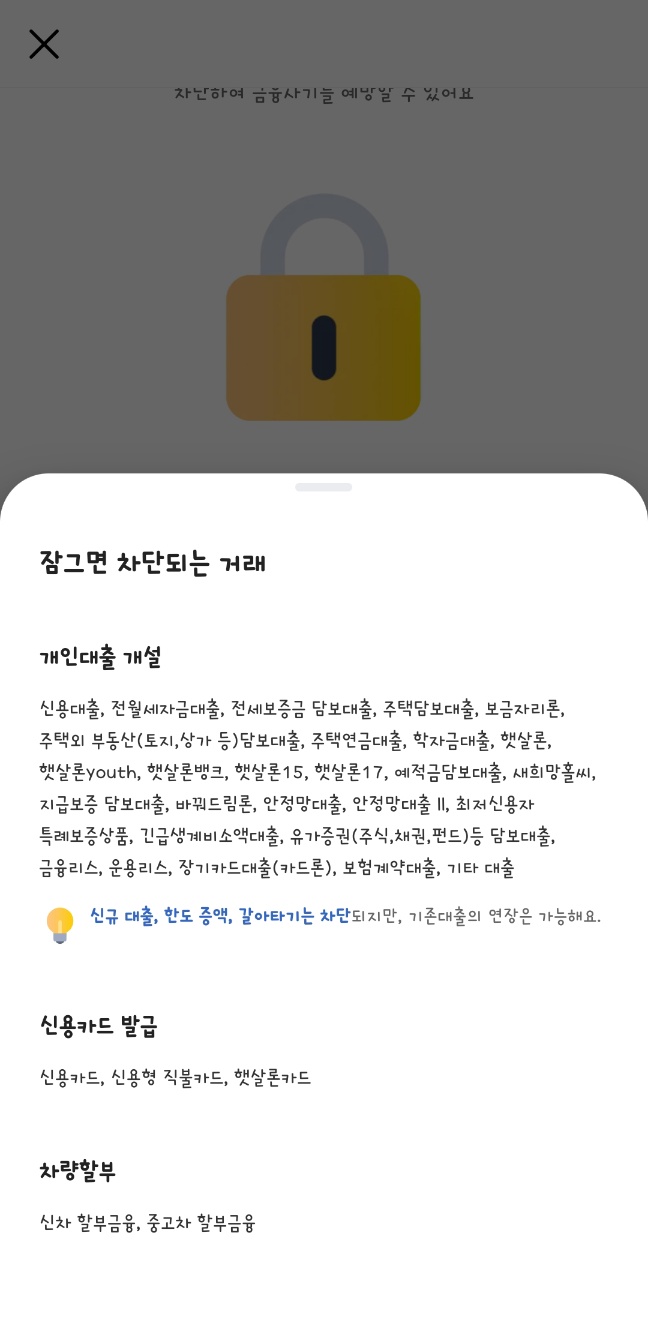 여신거래안심차단서비스 카카오뱅크 신청