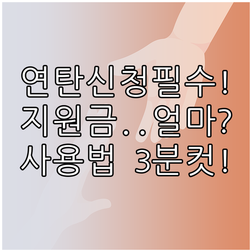 연탄쿠폰 신청 기간 지원 금액 사용 ..