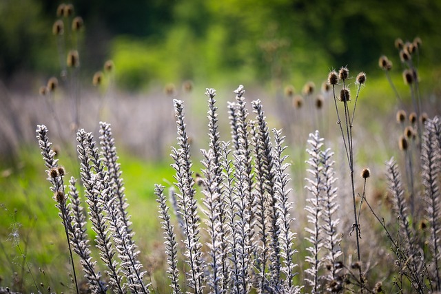 전립선비대증 증상 15