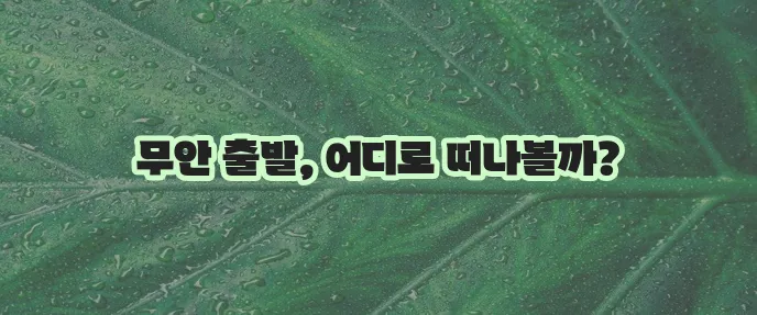 무안출발 해외 여행