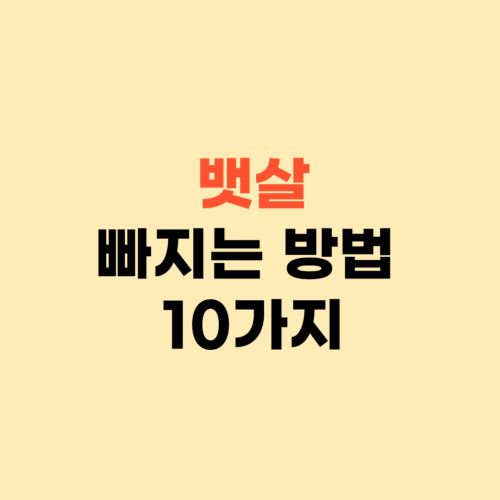 일주일만에 뱃살 빠지는 방법 10가지 ❘ 다이어트 이렇게만 하세요