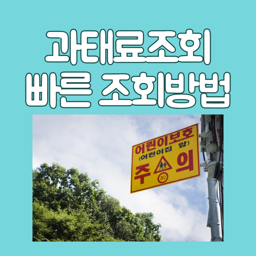과태료조회