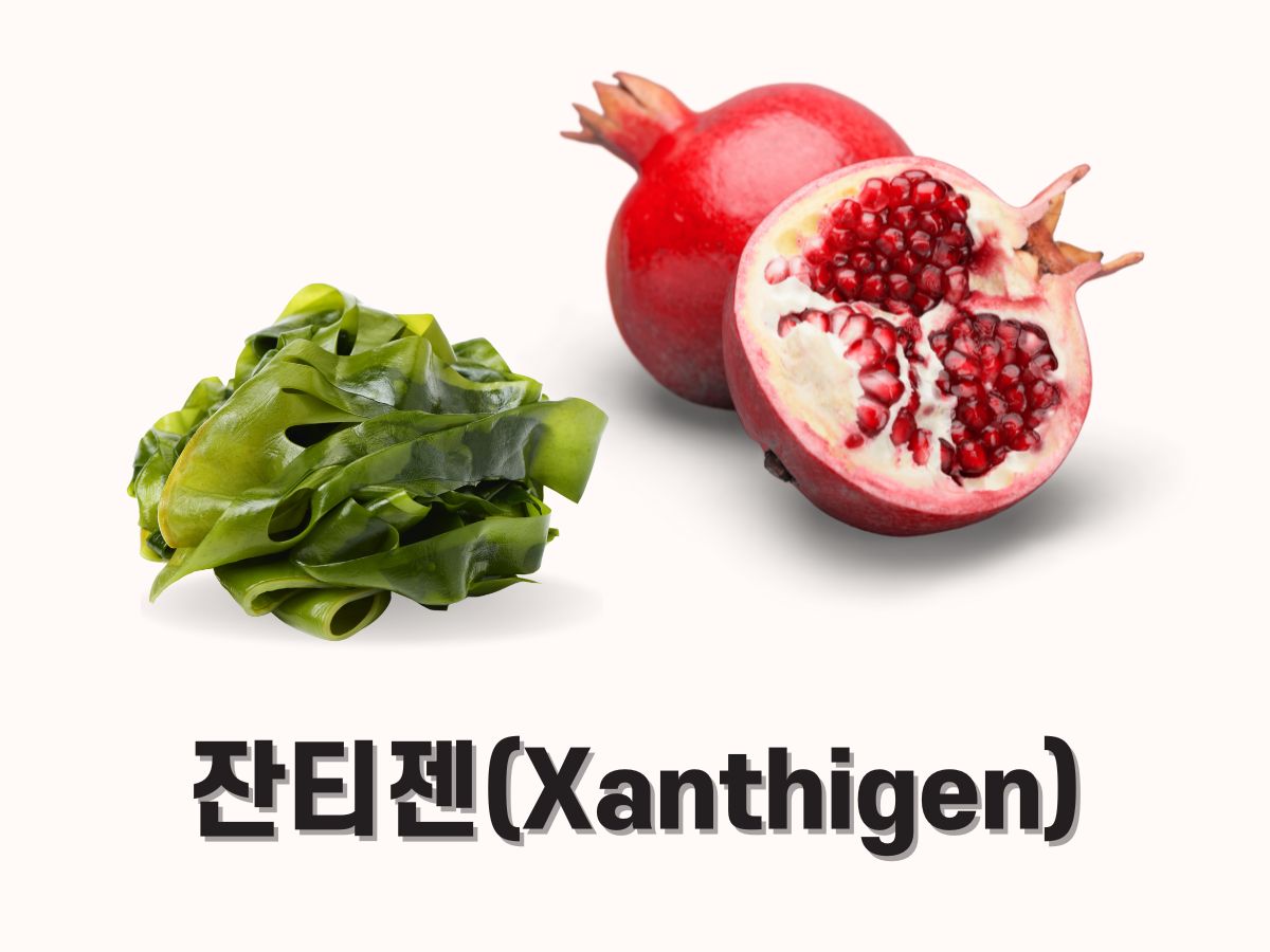 잔티젠 다이어트 효능