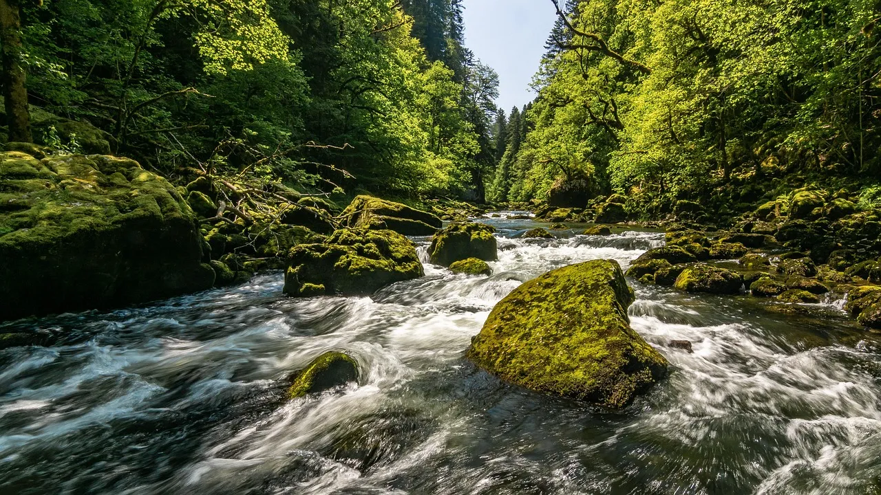 이혼변호사비용