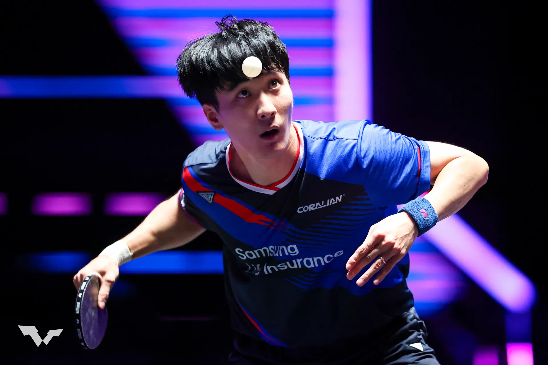 2025 WTT 챔피언스 인천 결과 – 이상수·신유빈 8강 진출 경기 요약 및 상금·일정 총정리