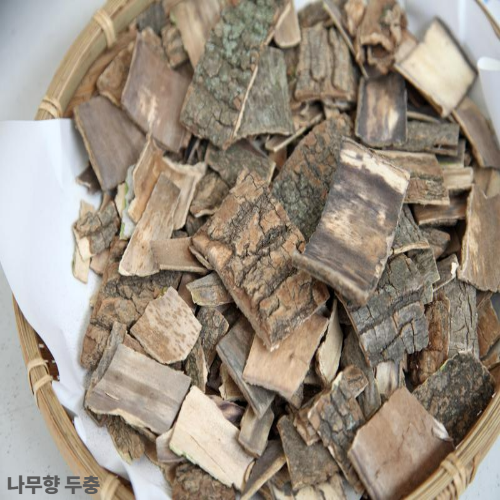 두충뿌리