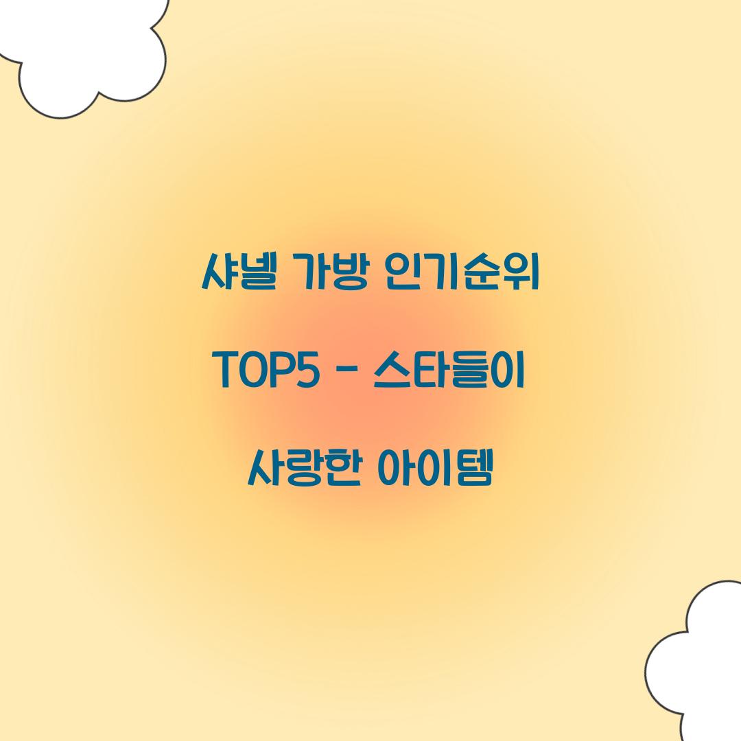 샤넬 가방 인기순위