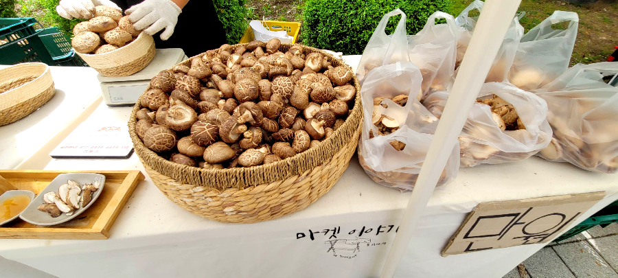 양평 산나물 축제 플리마켓