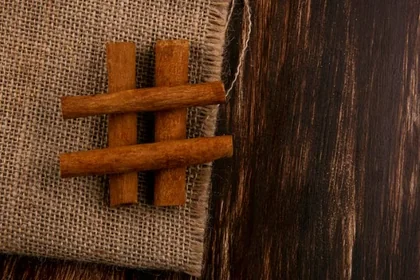 계피의 기본적인 특징과 활용 개요15