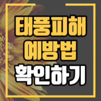 태풍예방 정보글 썸네일