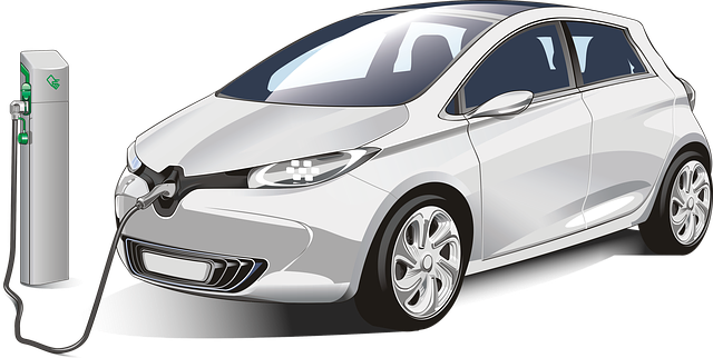 트럼프 2차전지 전망