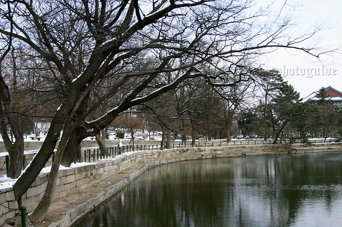 경복궁 Gyeongbokgung