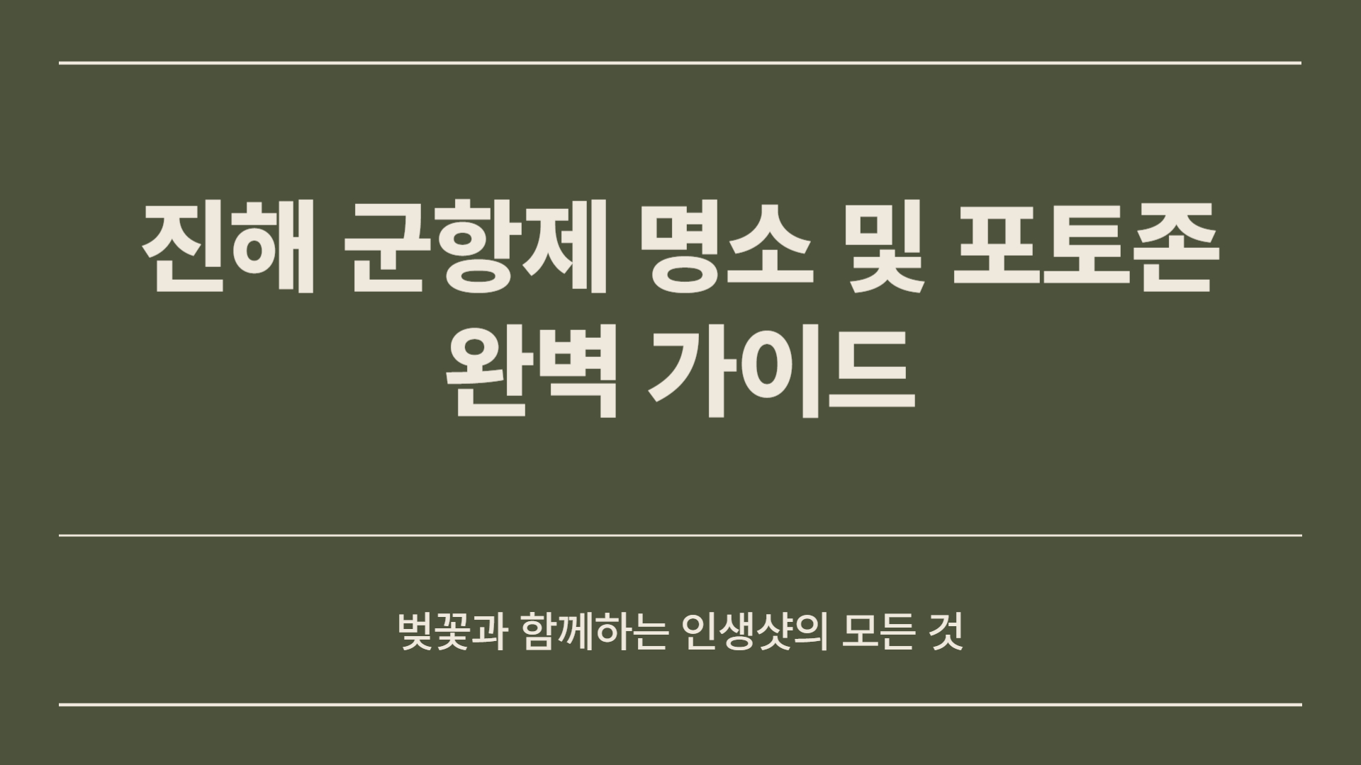 진해 군항제 명소 및 포토존 완벽 가이드