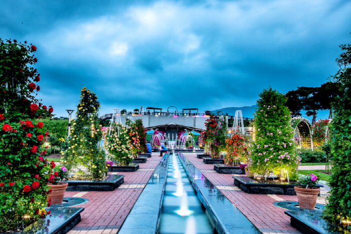 2024 곡성장미축제 기간 입장료 가는길 주차 맛집