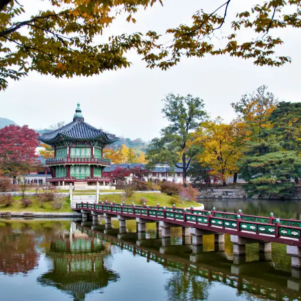 해외영화속한국찾기