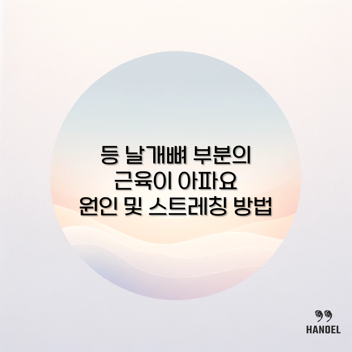 등 날개뼈 부분의 근육이 아파요