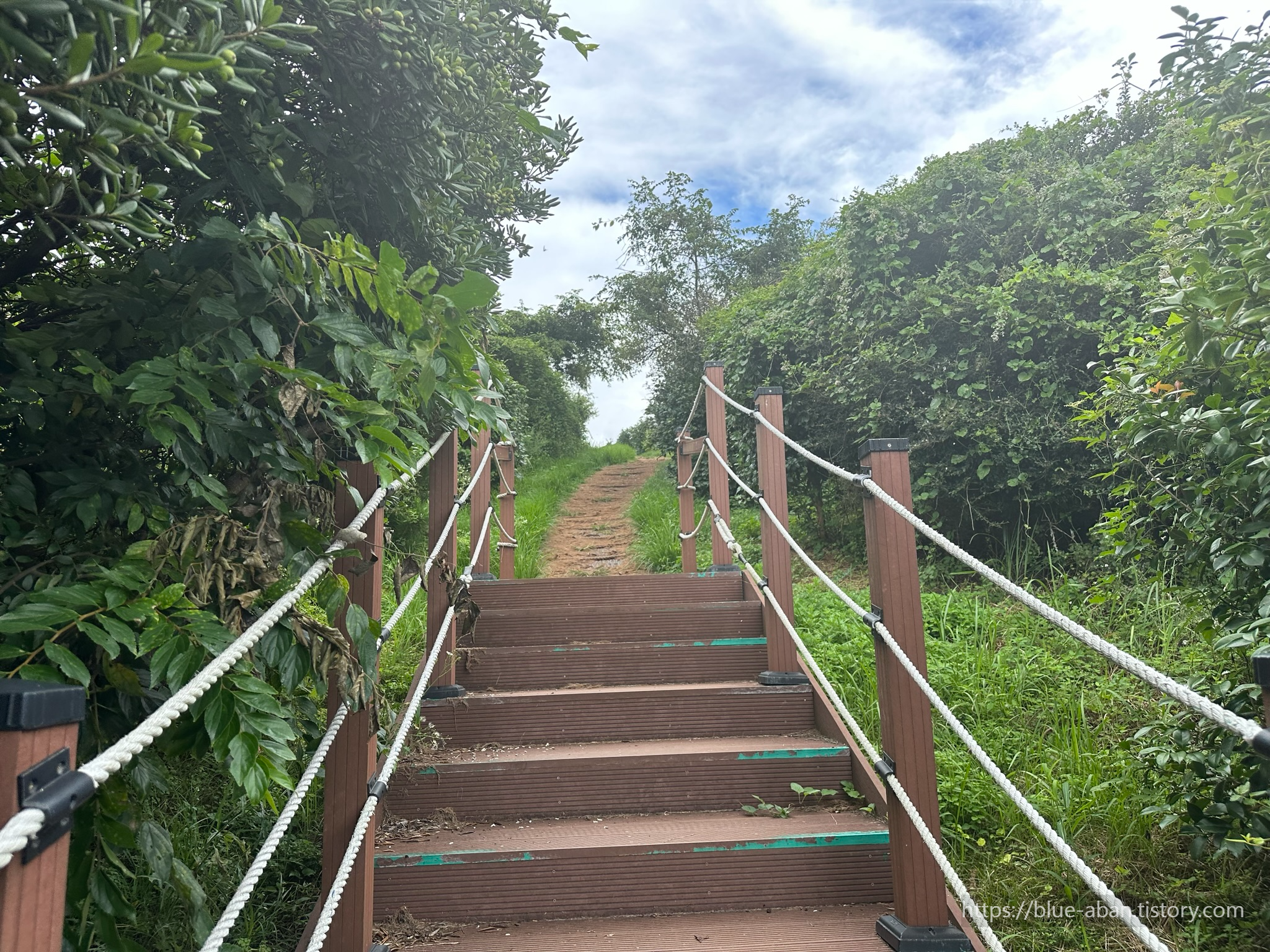 도두봉 산책로