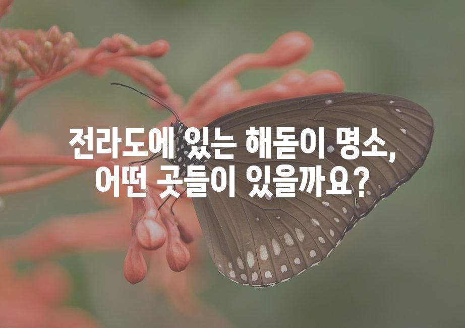 샘플 (51)