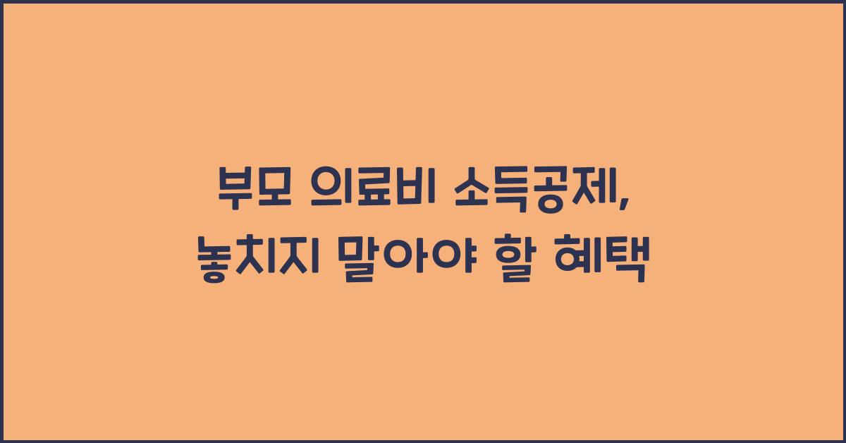 부모 의료비 소득공제
