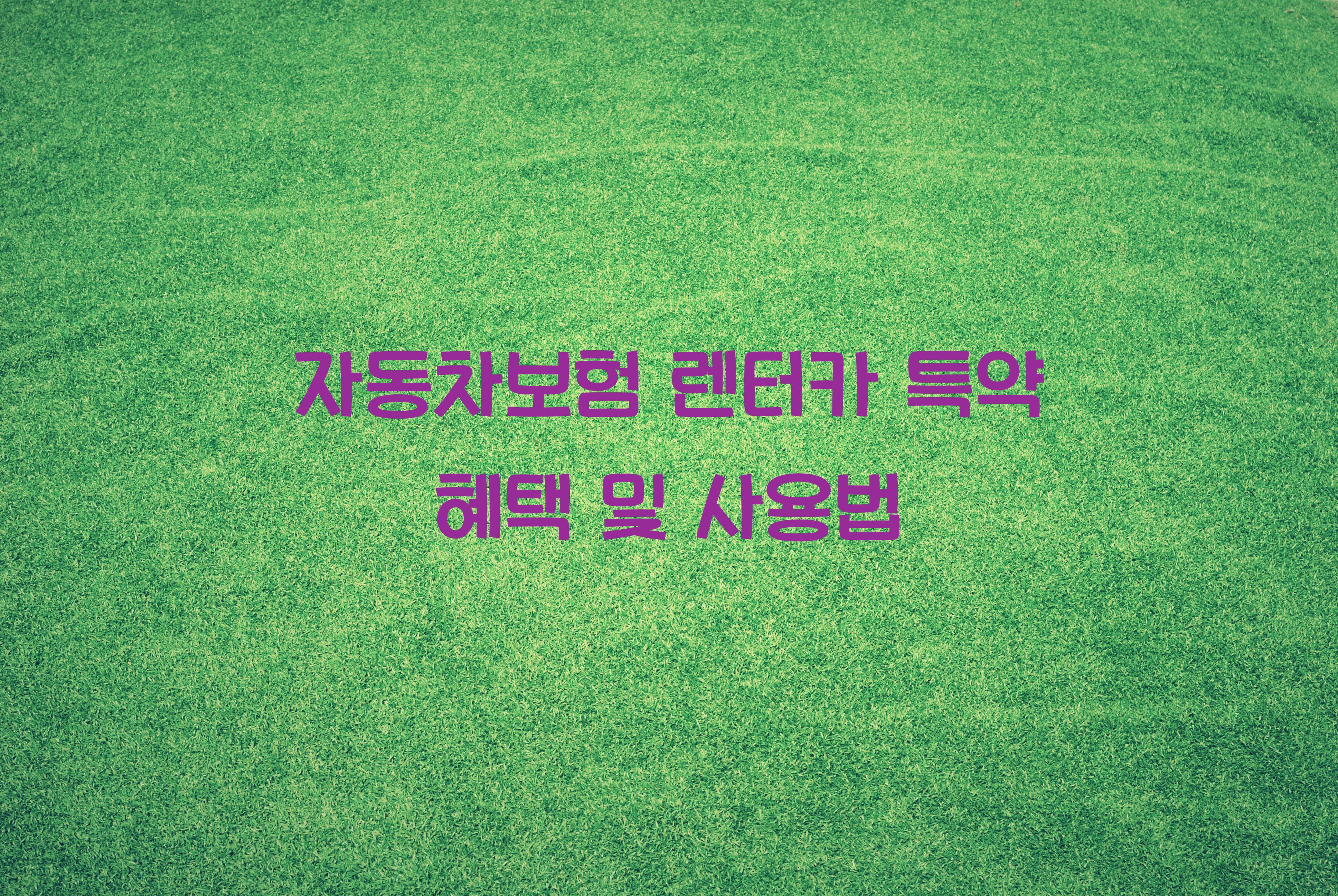 자동차보험 렌터카 특약