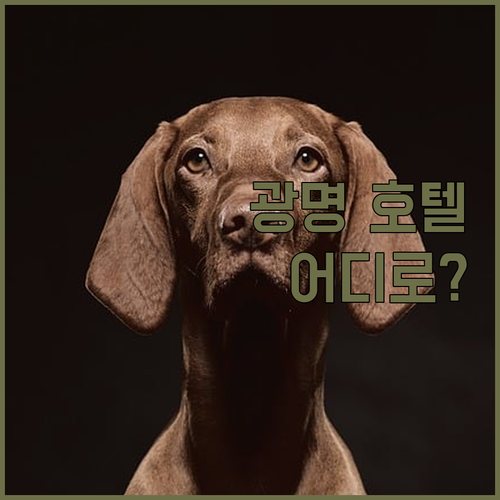 광명 호텔 어디로? 테이크호텔 vs ..