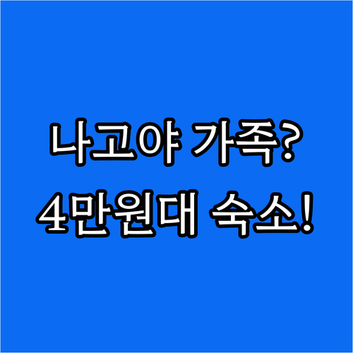 4만원대 최저가 나고야 가족 여행 숙..