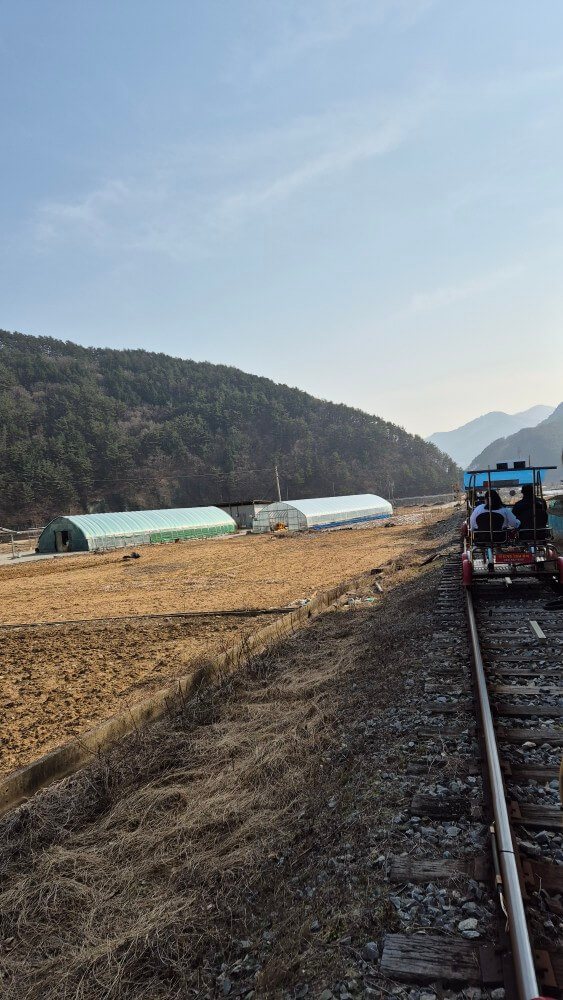 주변 비닐하우스