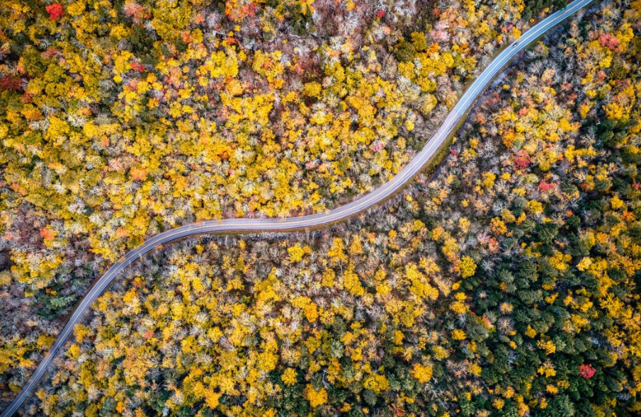 강원도 단풍 드라이브 코스 추천 TOP 6