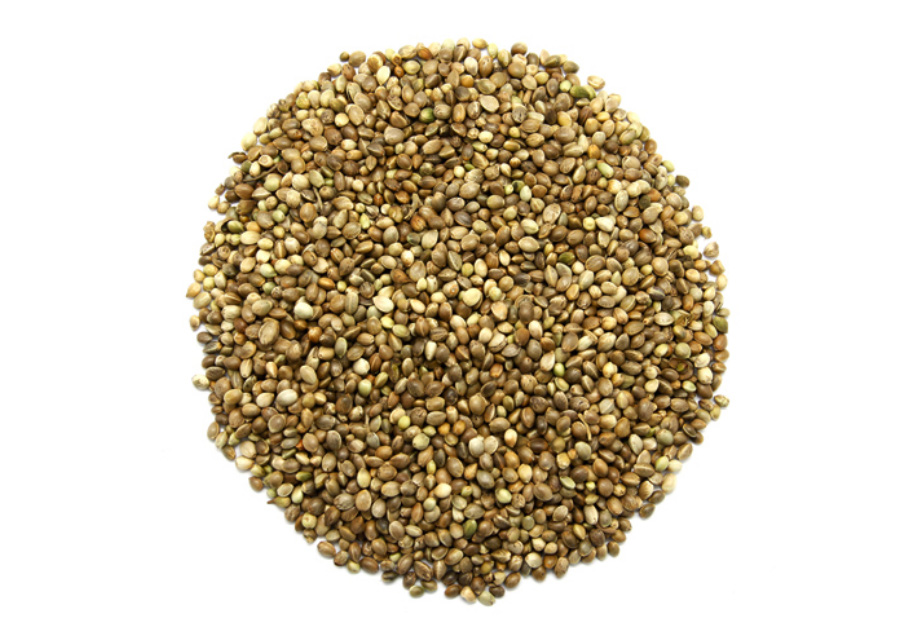 야생에서 채취를 한 대마의 씨인 마자인을 깨끗하게 세척을 한 것을 흰 바닥 위에 수북하게 쌓아 둔 것을 위에서 찍은 사진