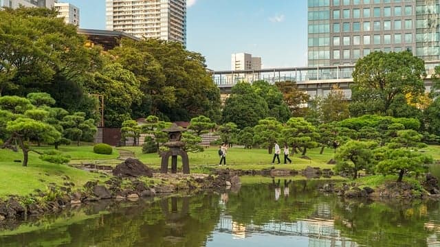 미래의 도심녹지