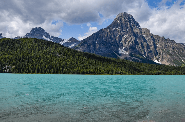 제로웨이스트 소비자 행동의 심리학과 윤리적 소비의 확산