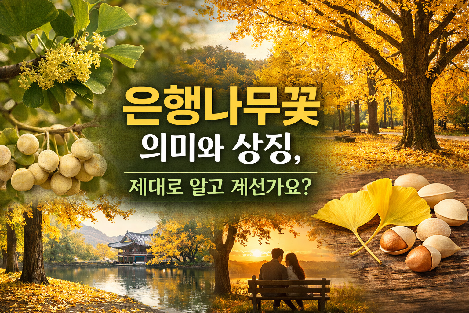 은행나무꽃