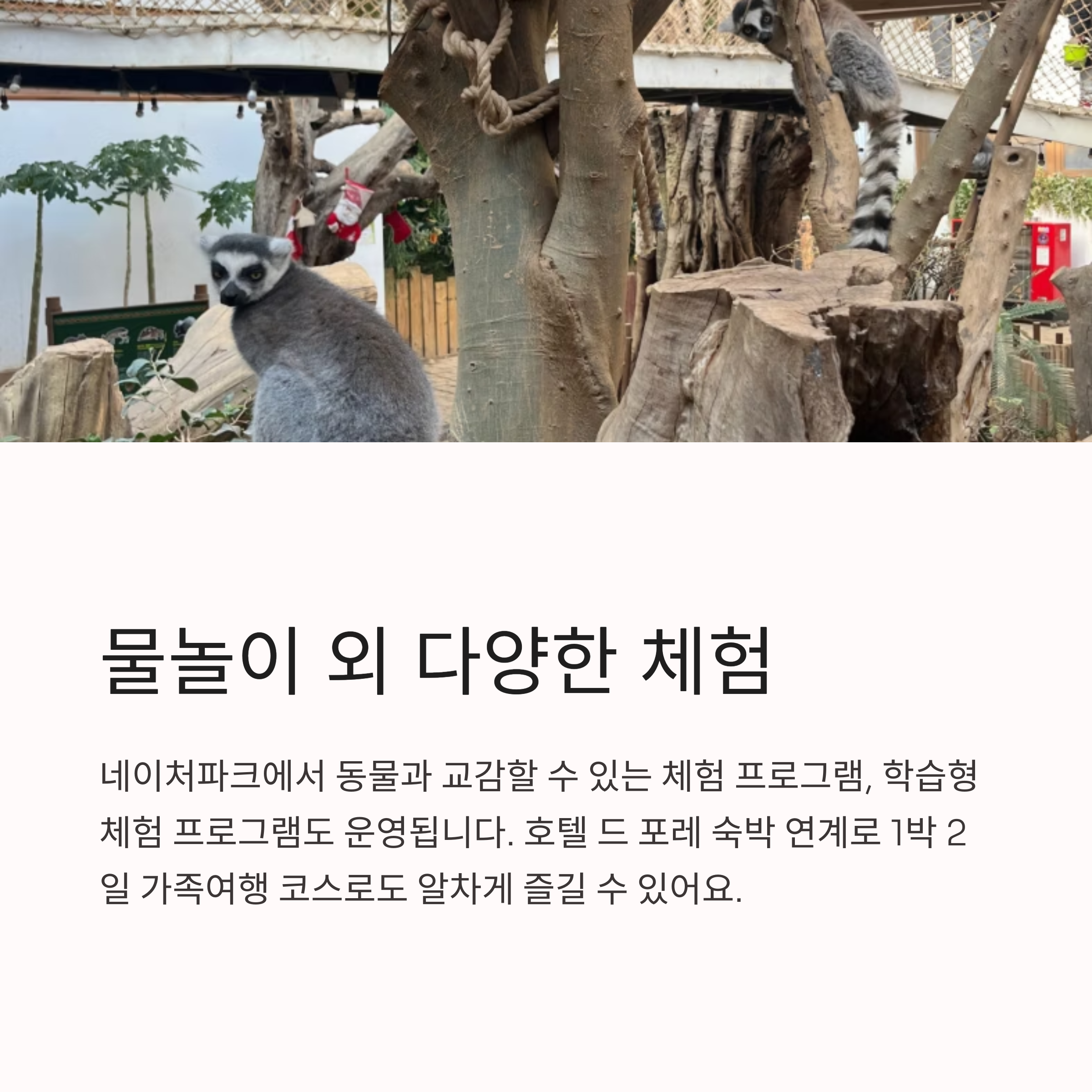 물놀이 외 다양한 체험