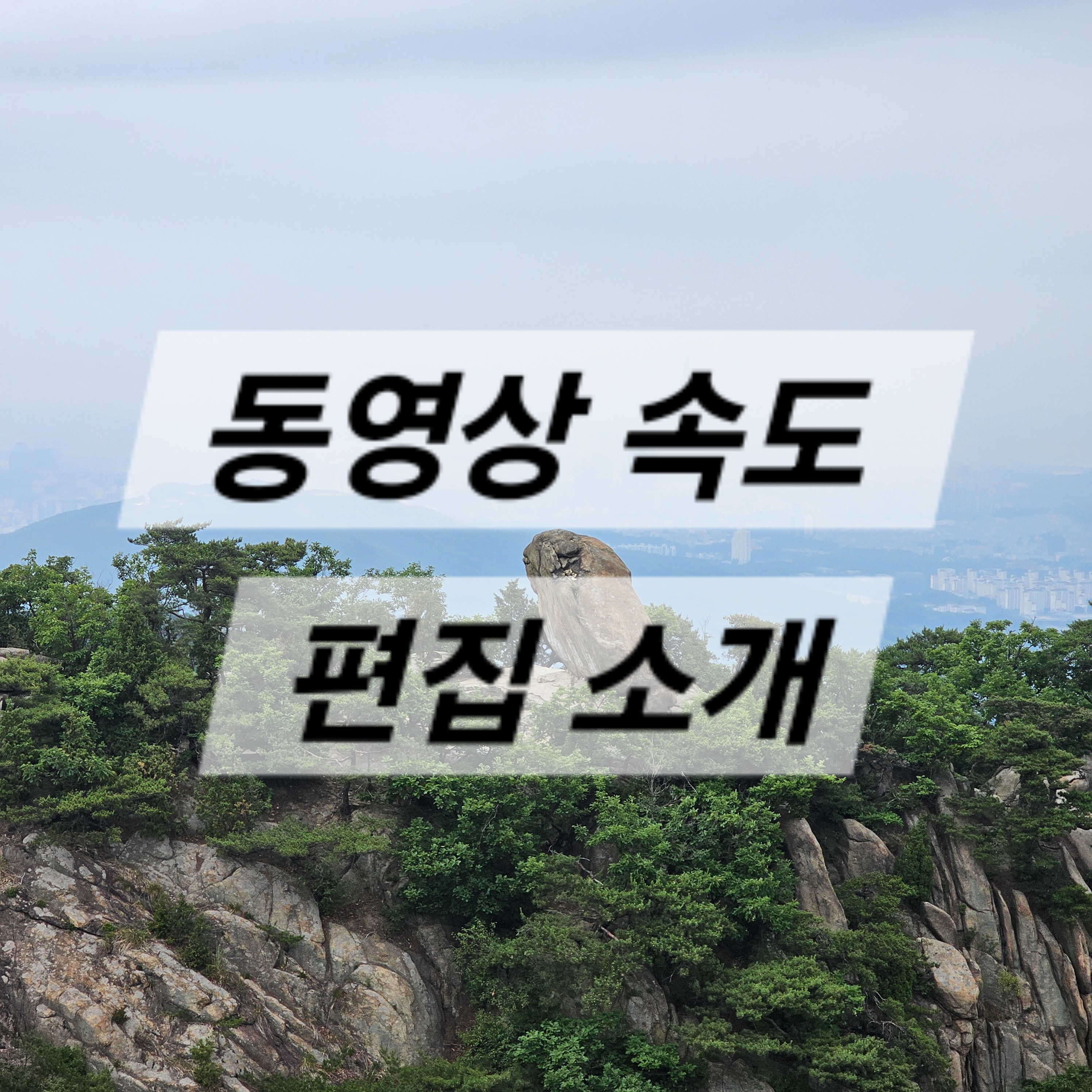 동영상 속도 편집