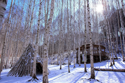 겨울 여행지 베스트 10