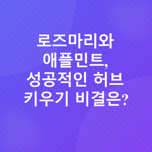 허브 키우기_2