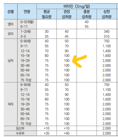 비타민C 권장섭취량 100