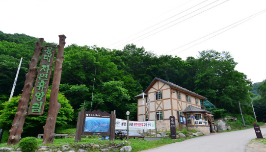 용대자연휴양림 사진