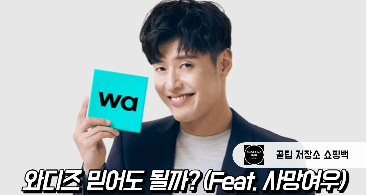 크라우드 펀딩 와디즈 논란과 사망여우