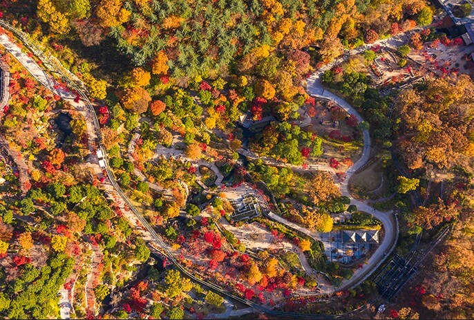 화담숲 예매하기