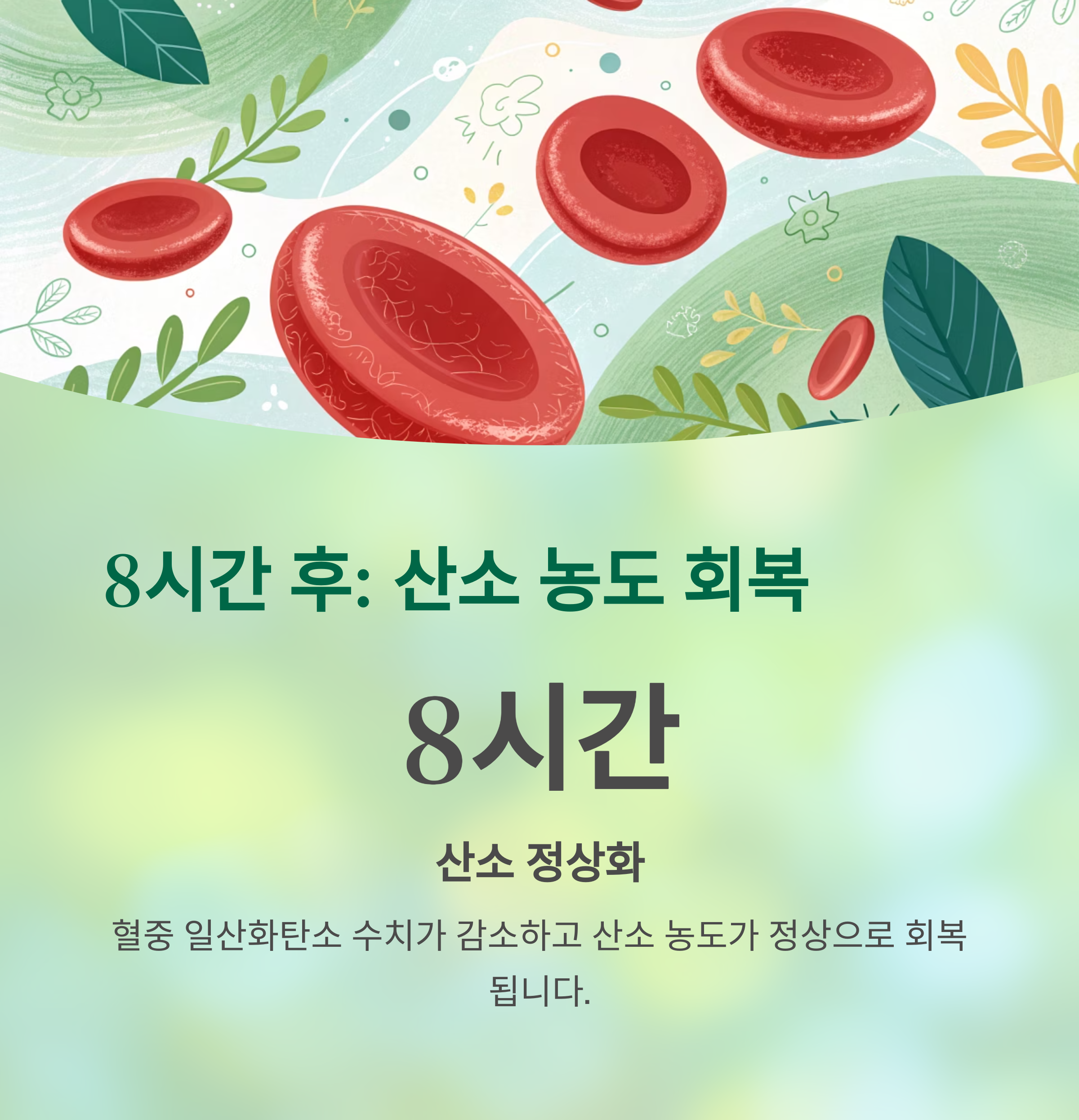 금연 후 몸에서 일어나는 기적, 시간대별 회복의 모든 것 - 금연 후 내 몸, 얼마나 좋아질까? 시간별 변화가 궁금하다면 - 8시간 후, 혈중 산소 농도가 정상화됩니다 금연 후 몸에서 일어나는 기적, 시간대별 회복의 모든 것 - 금연 후 내 몸, 얼마나 좋아질까? 시간별 변화가 궁금하다면 - 8시간 후, 혈중 산소 농도가 정상화됩니다