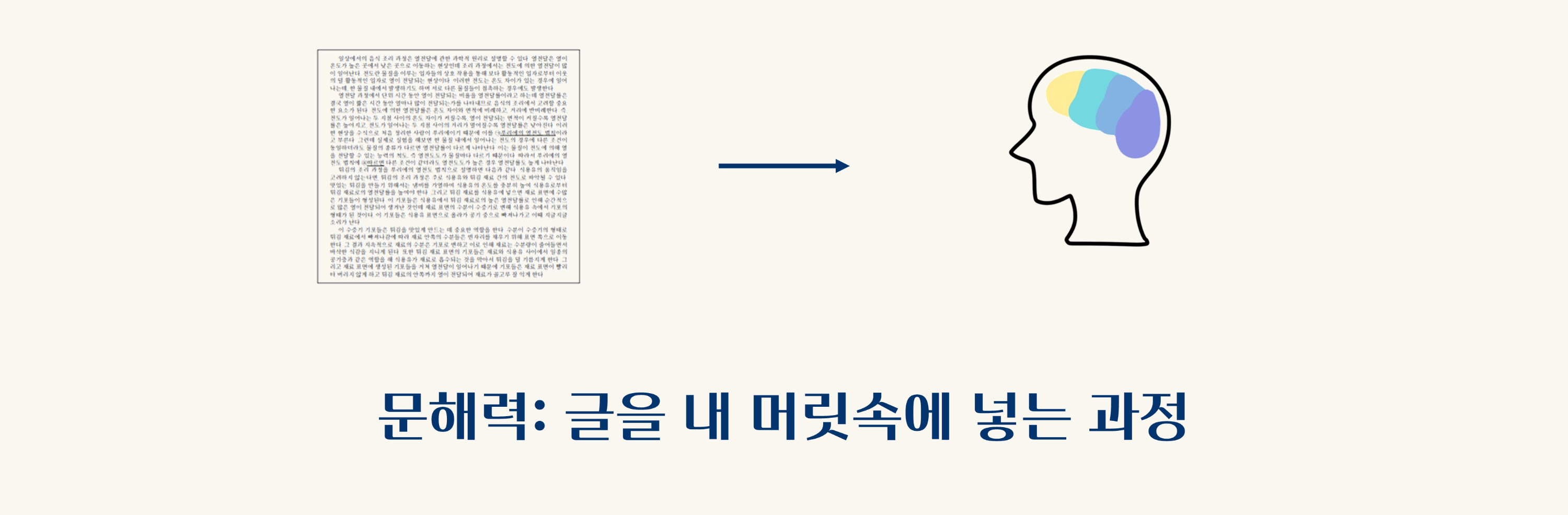 국어 수학 영어 탐구 성적 안 오르는 이유: 문해력 부족