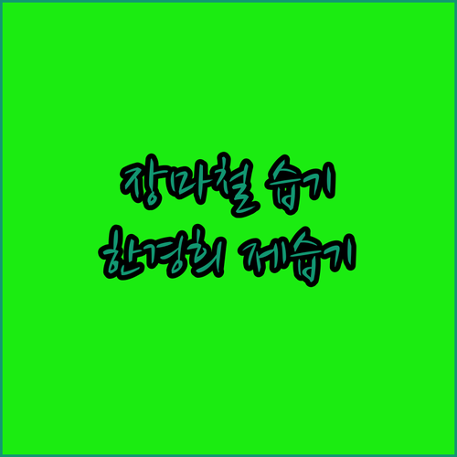 장마철 습기 제거 한경희 제습기 선택