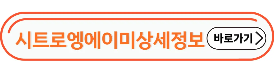 시트로엥에이미 상세정보