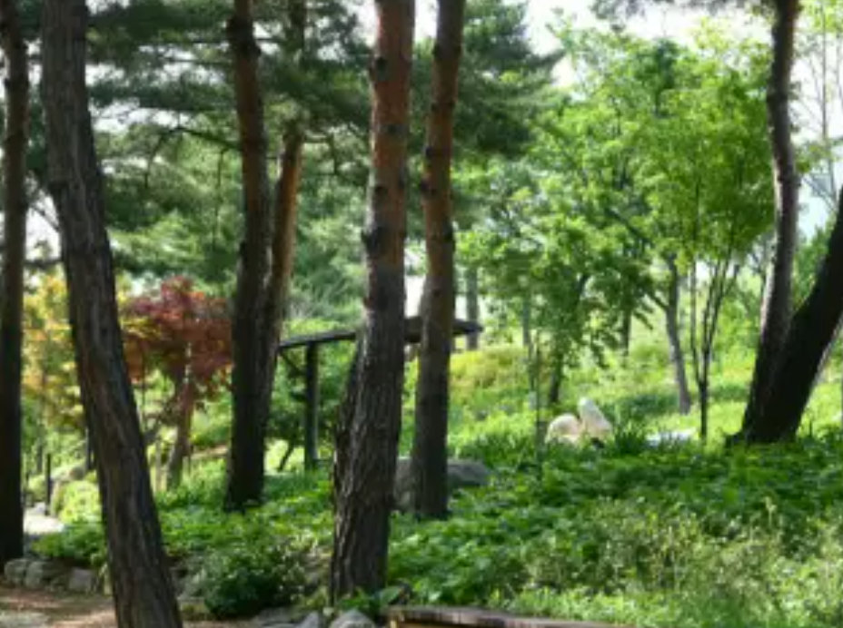 설악 케이블카 운행시간 예약방법 요금할인